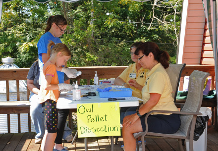 Women with students doing owl pellet dissection